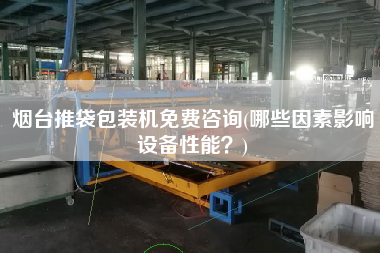 煙臺推袋包裝機(jī)免費(fèi)咨詢(哪些因素影響設(shè)備性能？)