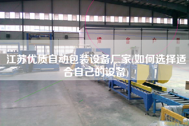 江蘇優(yōu)質(zhì)自動包裝設(shè)備廠家(如何選擇適合自己的設(shè)備)