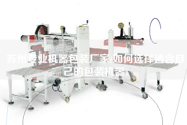 蘇州專(zhuān)業(yè)機(jī)器包裝廠家(如何選擇適合自己的包裝機(jī)器)