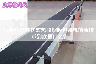 驚艷！江蘇枕式熱收縮膜包裝機(jī)的新技術(shù)到底是什么？