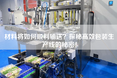 材料將如何順利輸送？探秘高效包裝生產(chǎn)線的秘密！