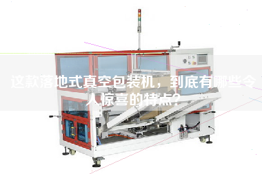 這款落地式真空包裝機(jī)，到底有哪些令人驚喜的特點(diǎn)？