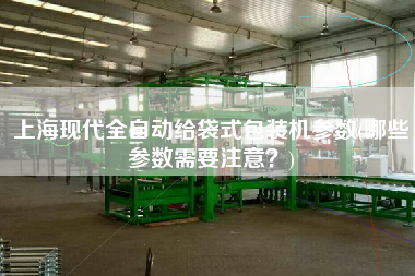 上?，F(xiàn)代全自動(dòng)給袋式包裝機(jī)參數(shù)(哪些參數(shù)需要注意？)