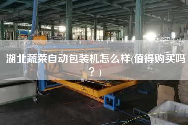 湖北蔬菜自動包裝機(jī)怎么樣(值得X嗎？)