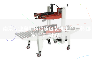 南京專業(yè)扁平袋給袋包裝機生產(chǎn)廠家(哪家值得信賴？)