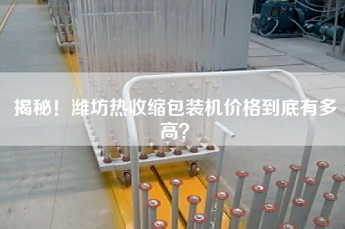 揭秘！濰坊熱收縮包裝機價格到底有多高？