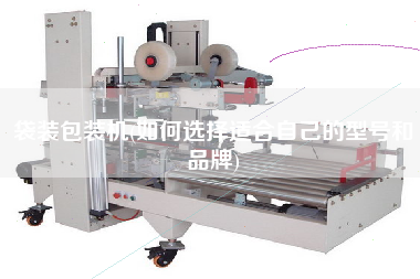 袋裝包裝機(jī)(如何選擇適合自己的型號和品牌)