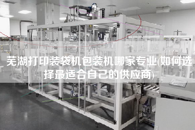 蕪湖打印裝袋機包裝機哪家專業(yè)(如何選擇z適合自己的供應商)