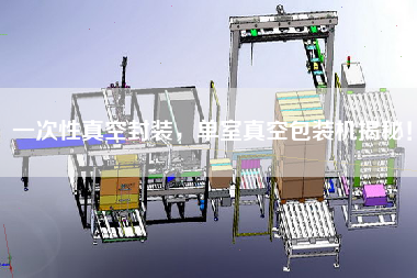 一次性真空封裝，單室真空包裝機揭秘！