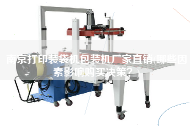 南京打印裝袋機包裝機廠家直銷(哪些因素影響X決策？)