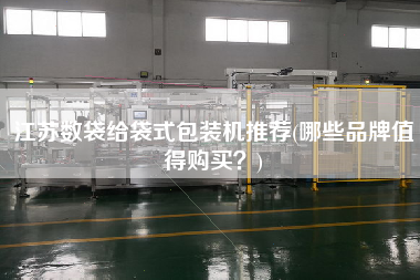 江蘇數(shù)袋給袋式包裝機(jī)推薦(哪些品牌值得X？)