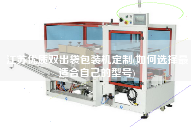 江蘇優(yōu)質(zhì)雙出袋包裝機定制(如何選擇z適合自己的型號)