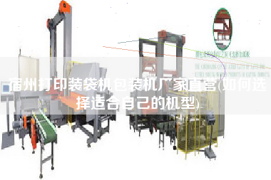 宿州打印裝袋機(jī)包裝機(jī)廠(chǎng)家直營(yíng)(如何選擇適合自己的機(jī)型)