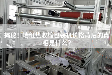 揭秘！墻紙熱收縮包裝機(jī)價(jià)格背后的真相是什么？
