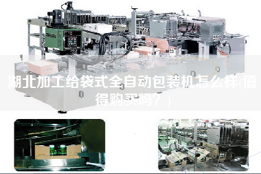 湖北加工給袋式全自動包裝機怎么樣(值得X嗎？)