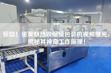驚險(xiǎn)！蛋黃酥熱收縮膜包裝機(jī)視頻曝光，揭秘其神奇工作原理！