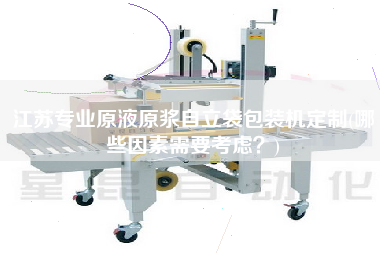 江蘇專業(yè)原液原漿自立袋包裝機(jī)定制(哪些因素需要考慮？)