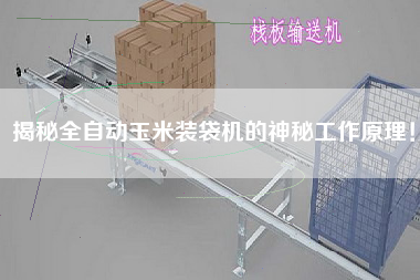 揭秘全自動玉米裝袋機的神秘工作原理！
