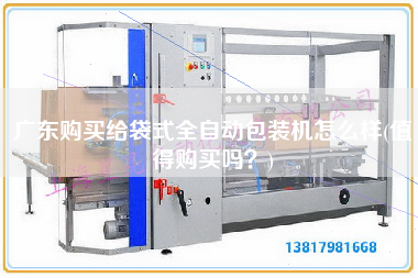 廣東X給袋式全自動包裝機(jī)怎么樣(值得X嗎？)