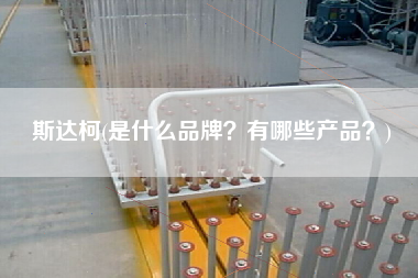 斯達柯(是什么品牌？有哪些產(chǎn)品？)