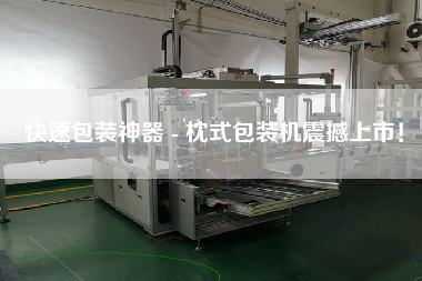 快速包裝神器 - 枕式包裝機(jī)震撼上市！