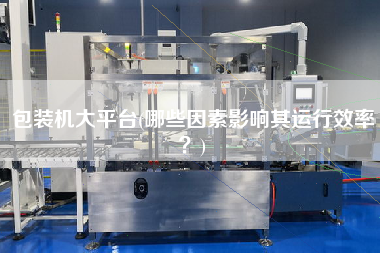 包裝機大平臺(哪些因素影響其運行效率？)