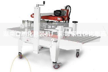 湖南自動化包裝機廠家(哪家性價比z高？)