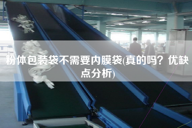 粉體包裝袋不需要內(nèi)膜袋(真的嗎？優(yōu)缺點分析)