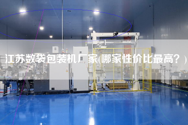 江蘇數(shù)袋包裝機廠家(哪家性價比z高？)