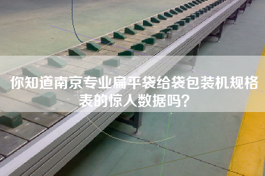你知道南京專業(yè)扁平袋給袋包裝機(jī)規(guī)格表的驚人數(shù)據(jù)嗎？