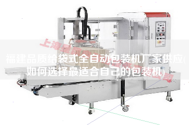 福建品質(zhì)給袋式全自動包裝機廠家供應(如何選擇z適合自己的包裝機)