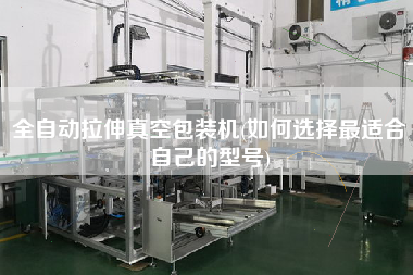 全自動拉伸真空包裝機(jī)(如何選擇z適合自己的型號)