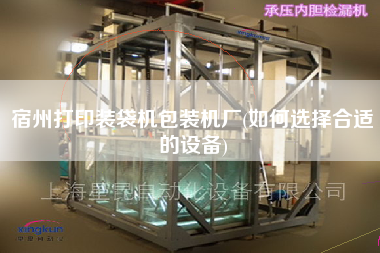 宿州打印裝袋機(jī)包裝機(jī)廠(chǎng)(如何選擇合適的設(shè)備)