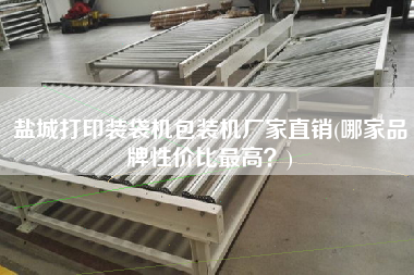 鹽城打印裝袋機包裝機廠家直銷(哪家品牌性價比z高？)