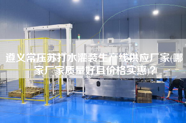 遵義常壓蘇打水灌裝生產(chǎn)線供應廠家(哪家廠家質量好且價格實惠)？