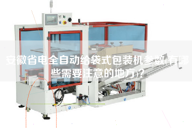 安徽省電全自動(dòng)給袋式包裝機(jī)參數(shù)(有哪些需要注意的地方)？