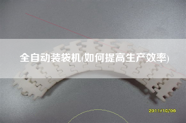 全自動裝袋機(jī)(如何提高生產(chǎn)效率)