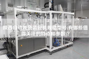 陜西自動噸袋裝包機規(guī)格型號(有哪些值得關(guān)注的特點和參數(shù))？