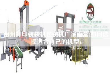 臺(tái)州打印裝袋機(jī)包裝機(jī)廠家直營(yíng)(如何選擇適合自己的機(jī)型)