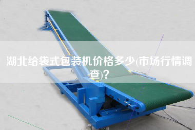 湖北給袋式包裝機(jī)價(jià)格多少(市場行情調(diào)查)？
