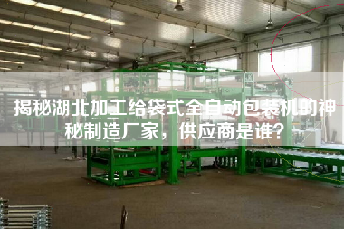 揭秘湖北加工給袋式全自動包裝機的神秘制造廠家，供應商是誰？