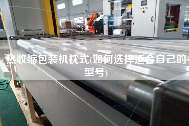 熱收縮包裝機(jī)枕式(如何選擇適合自己的型號)