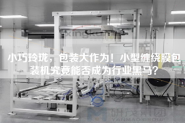 X，包裝大作為！小型纏繞膜包裝機(jī)究竟能否成為行業(yè)黑馬？