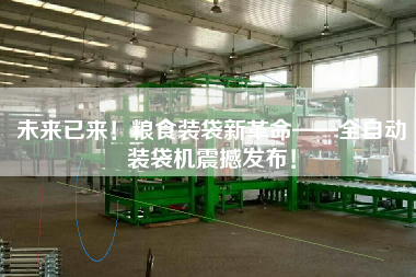 未來已來！糧食裝袋新革命——全自動裝袋機(jī)震撼發(fā)布！