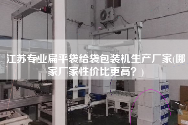 江蘇專業(yè)扁平袋給袋包裝機(jī)生產(chǎn)廠家(哪家廠家性價比z高？)