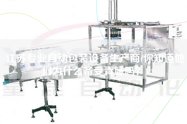 江蘇專業(yè)自動包裝設(shè)備生產(chǎn)商(你知道他們?yōu)槭裁磦涫芮嗖A嗎？)