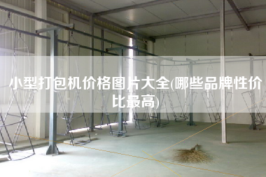 小型打包機(jī)價格圖片大全(哪些品牌性價比z高)