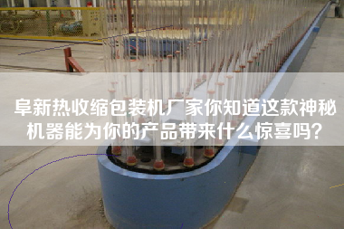 阜新熱收縮包裝機廠家你知道這款神秘機器能為你的產(chǎn)品帶來什么驚喜嗎？