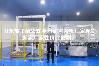 山東加工給袋式全自動包裝機(jī)廠家現(xiàn)貨(哪家廠家性價比z高？)