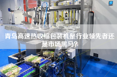 青島高速熱收縮包裝機(jī)是行業(yè)領(lǐng)先者還是市場(chǎng)黑馬？